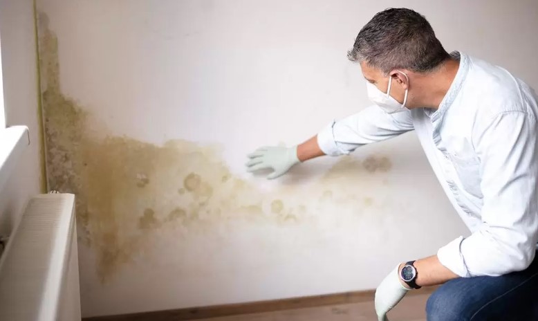 اسباب الرطوبة في الجدران