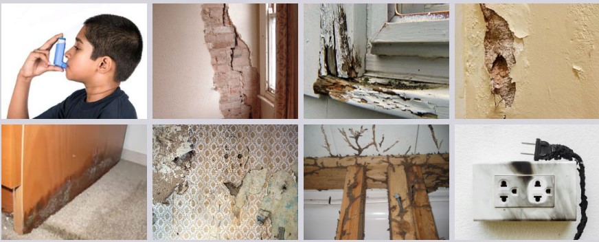 الشركات المعتمدة لكشف تسربات المياه