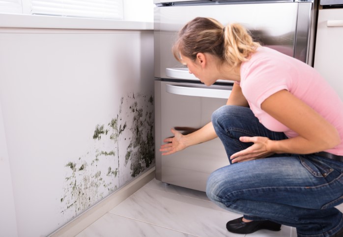 حل مشكلة رطوبة الجدران